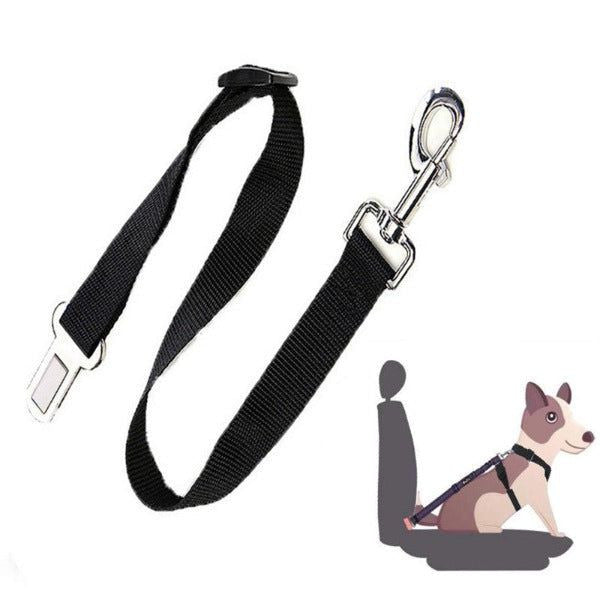 Dog Seat Belt