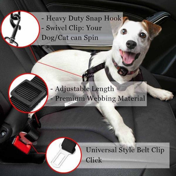 Dog Seat Belt