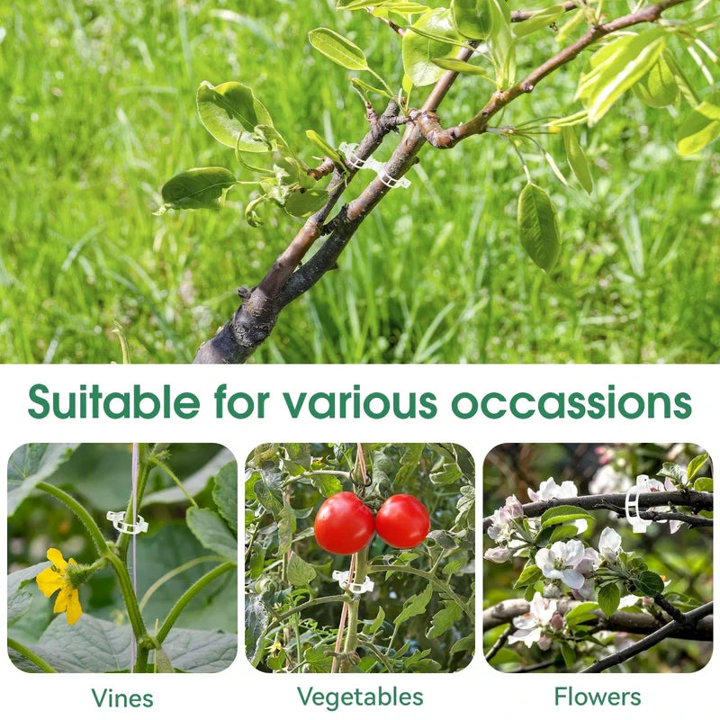 Tomato Clips Plastic Trellis Clips