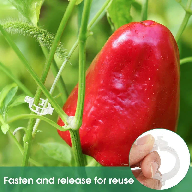 Tomato Clips Plastic Trellis Clips