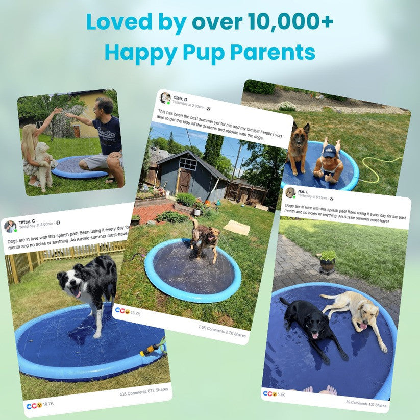 Refreshing Dog Sprinkler Pad