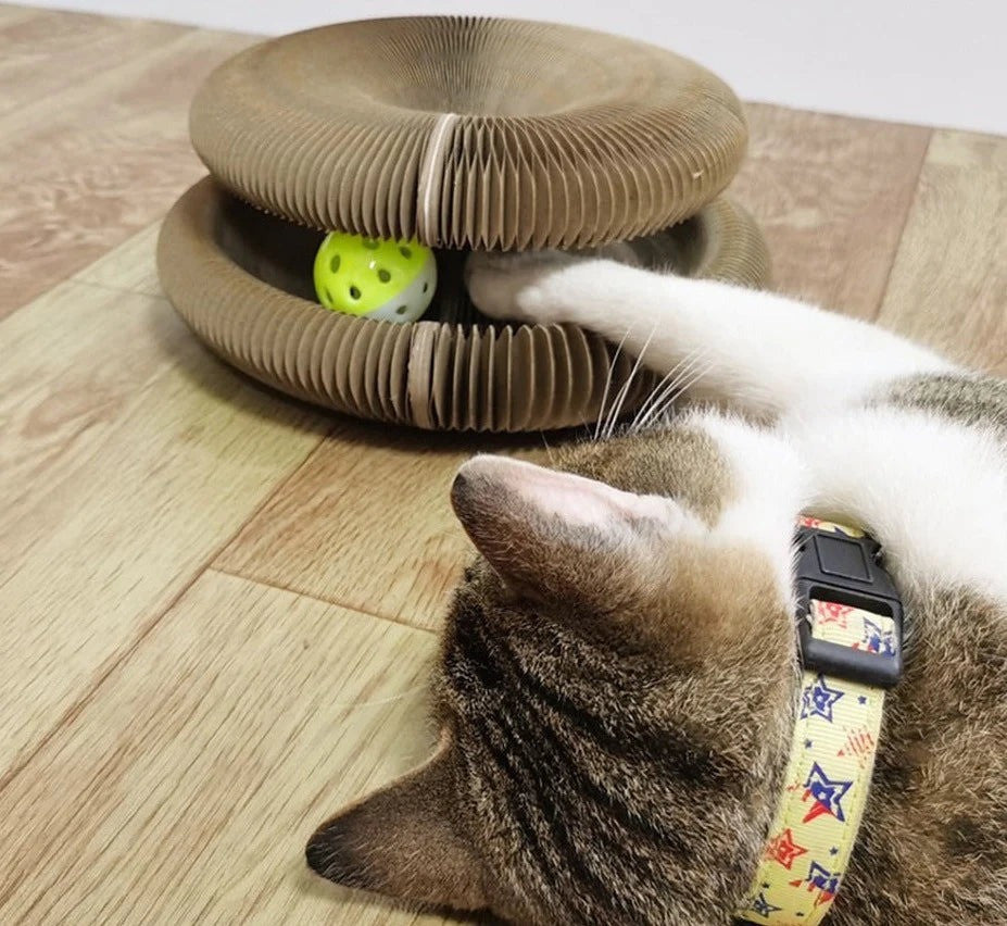 Cat Scratcher - We recommend getting two or more to link together for extra fun