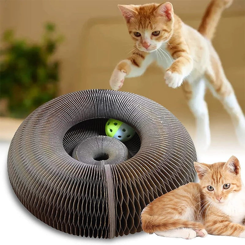 Cat Scratcher - We recommend getting two or more to link together for extra fun